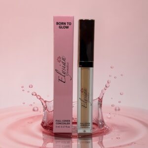 Full cover concealer (No6)